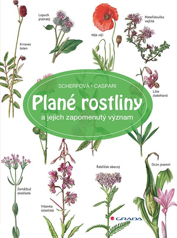Plané rostliny a jejich zapomenutý význam – Gertrud Scherf