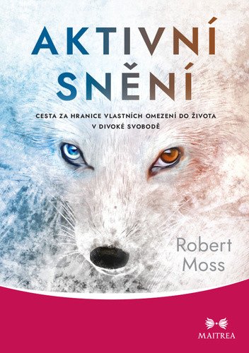 Aktivní snění - Cesta za hranice vlastních omezení do života v divoké svobodě – Robert Moss