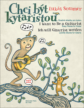 Chci být kytaristou – Lukáš Sommer