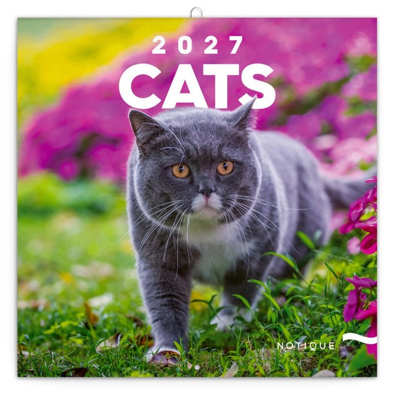 Kalendář 2027 poznámkový: Kočky 2027, 30 x 30 cm – -
