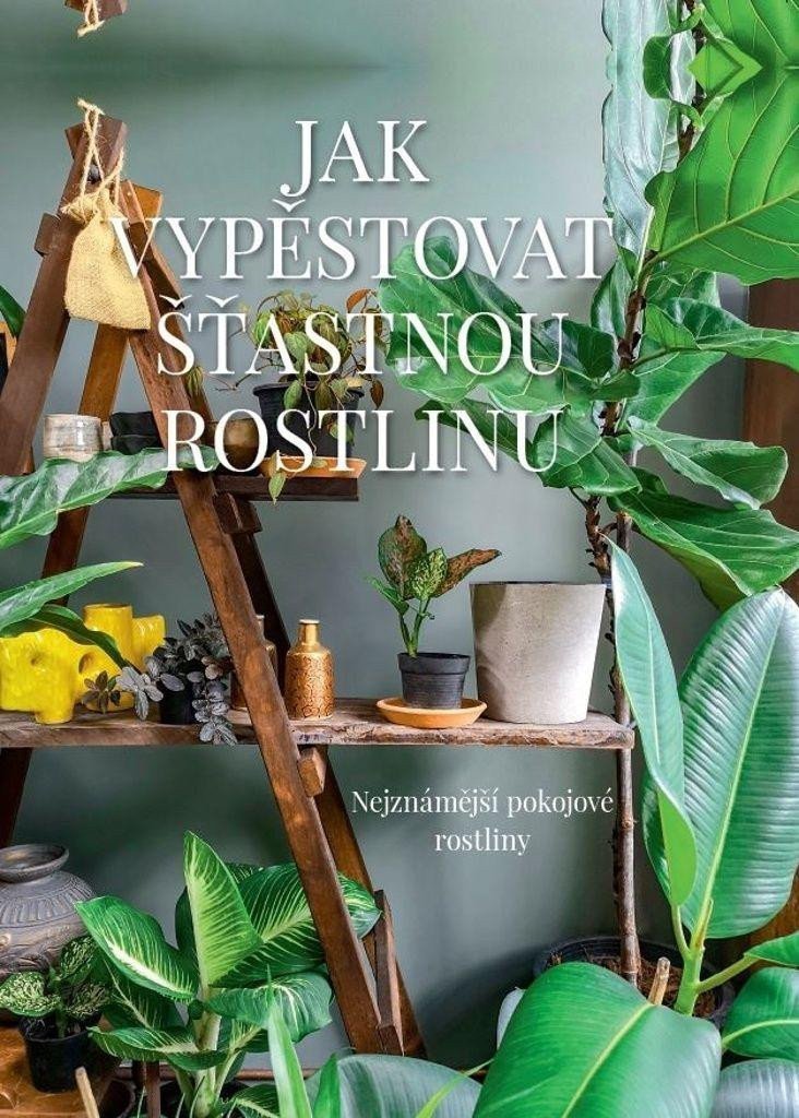 Jak vypěstovat šťastnou rostlinu - Nejznámější pokojové rostliny – Malgorzata Augustyn