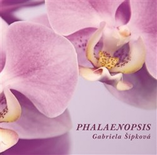 Phalaenopsis – Gabriela Šípková