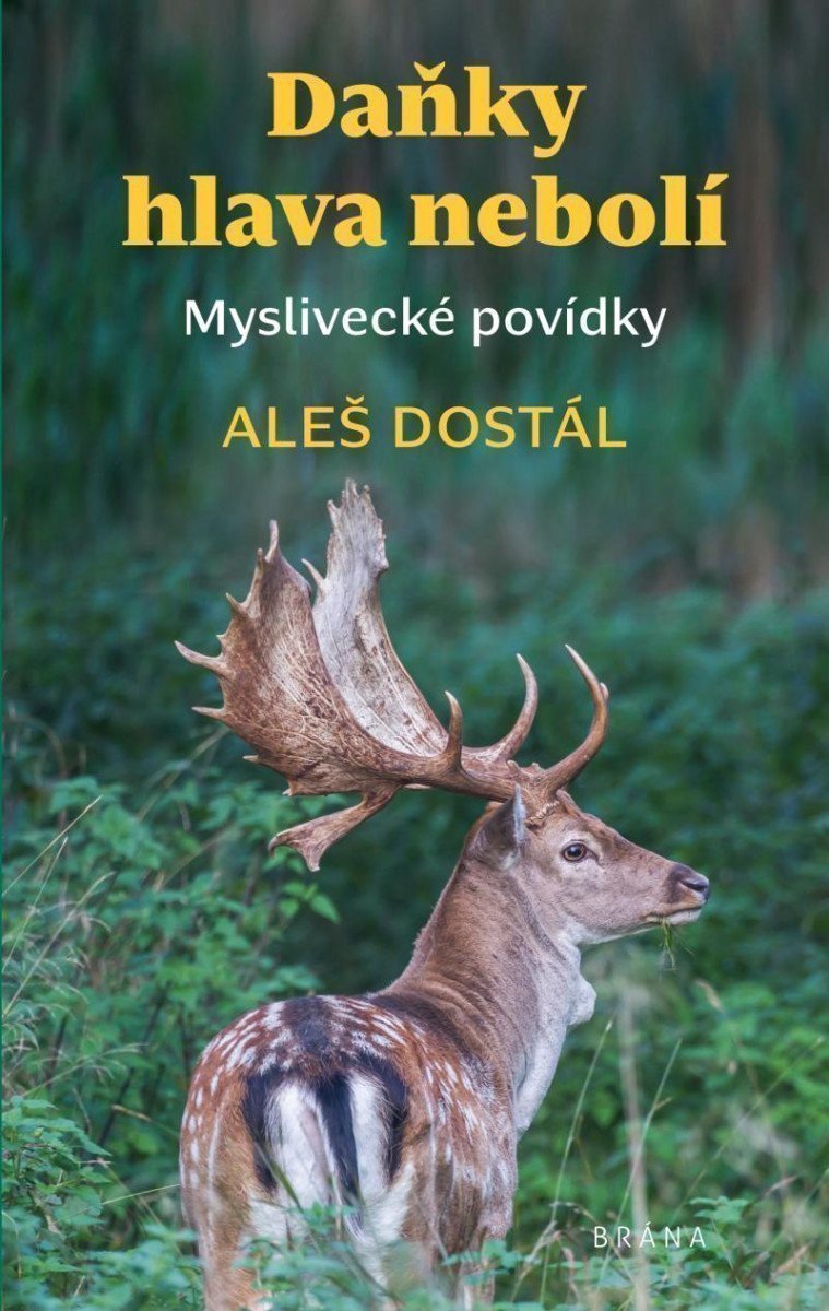 Daňky hlava nebolí – Aleš Dostál