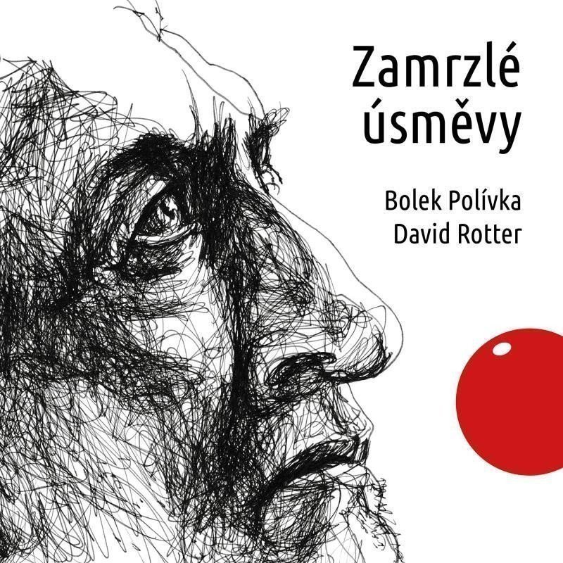 CD Zamrzlé úsměvy - audiokniha – Rotter David