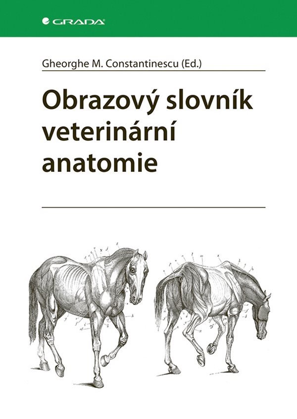 Obrazový slovník veterinární anatomie – Constantinescu M. Gheorghe