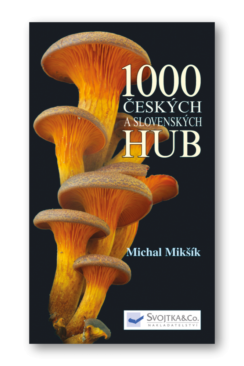 1000 českých a slovenských hub – Michal Mikšík