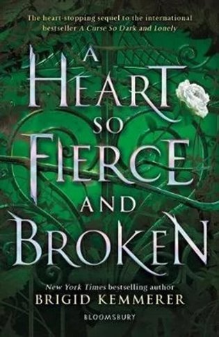 A Heart So Fierce and Broken – Brigid Kemmerer