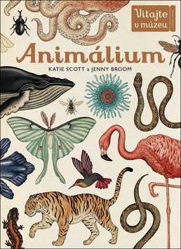 Animálium – Katie Scott, Jenny Broom