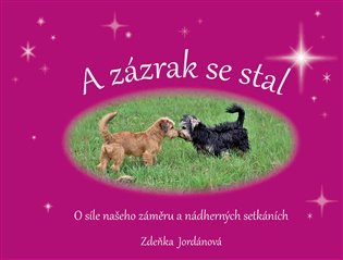A zázrak se stal – Zdeňka Jordánová