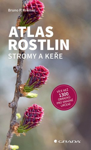 Atlas rostlin - Stromy a keře – Bruno P. Kremer