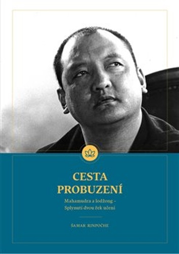Cesta Probuzení – Shamar Rinpočhe
