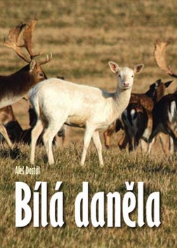 Bílá daněla – Aleš Dostál