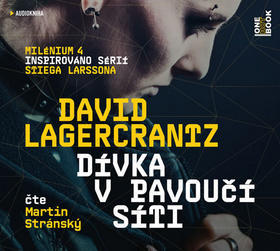 Dívka v pavoučí síti - Milénium 04. Inspirováno sérií Stiega Larssona - David Lagercrantz