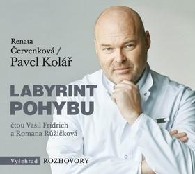 Labyrint pohybu - Renata Červenková; Pavel Kolář; Vasil Fridrich; Romana Růžičková