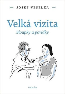 Velká vizita - Sloupky a povídky - Josef Veselka