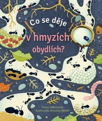 Co se děje v hmyzích obydlích? - Anna Milbourne