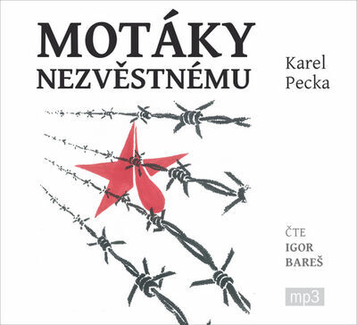 Motáky nezvěstnému - Karel Pecka; Igor Bareš