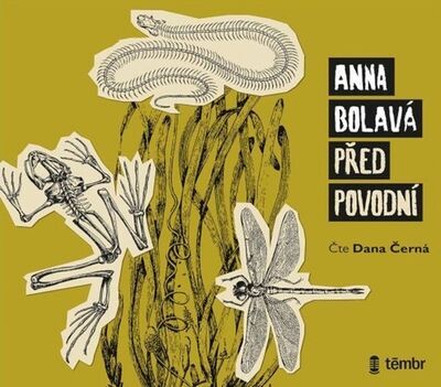 Před povodní - Anna Bolavá; Dana Černá