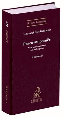 Pracovní poměr - Vybraná ustanovení zákoníku práce - Jiří Kocourek; Tomáš Dobřichovský