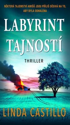 Labyrint tajností - Některá tajemství amišů jsou příliš děsivá na to, aby byla odhalena - Linda Castillo