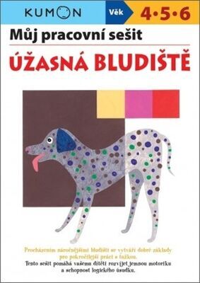 Můj pracovní sešit Úžasná bludiště - Toshihiki Karakido; Yoshiko Murakami; Masako Watanabe