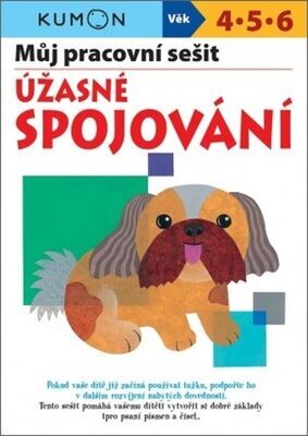 Můj pracovní sešit Úžasné spojování - Giovanni K. Moto; Toshihiko Karakida; Yohiko Murakami