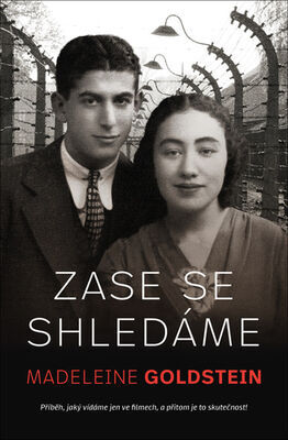 Zase se shledáme - Madeleine Goldstein