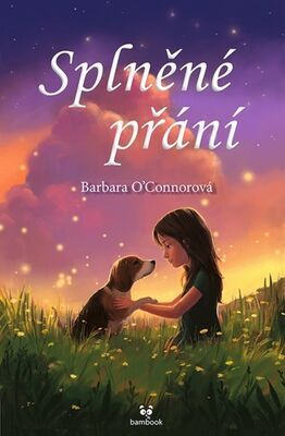 Splněné přání - Barbara O´Connor