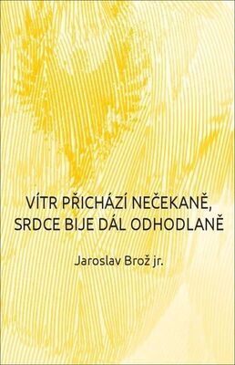 Vítr přichází nečekaně, srdce bije dál odhodlaně - Jaroslav Brož