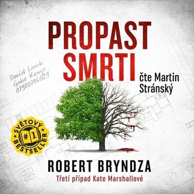 Propast smrti - Robert Bryndza