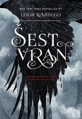 Šest vran - Šest nebezpečných psanců, jeden nesplnitelný úkol - Leigh Bardugo