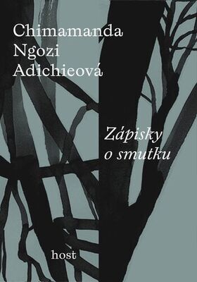 Zápisky o smutku - Chimamanda Ngozi Adichieová