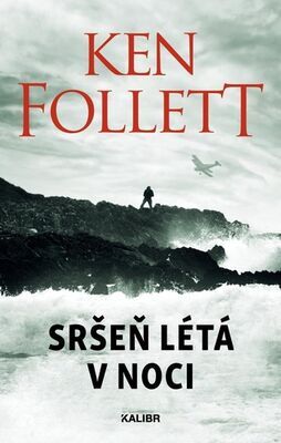 Sršeň létá v noci - Ken Follett