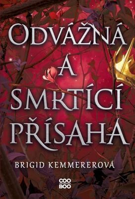 Odvážná a smrtící přísaha - Brigid Kemmererová