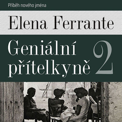 Geniální přítelkyně - Příběh nového jména - Elena Ferrante; Taťjana Medvecká