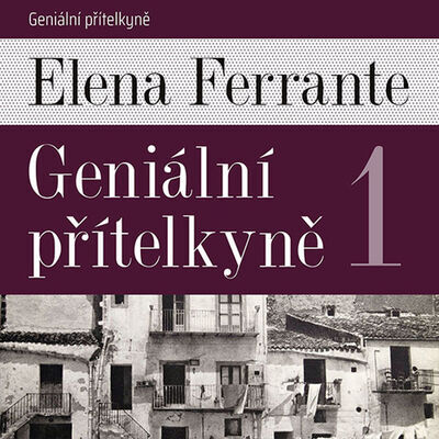 Geniální přítelkyně - Elena Ferrante; Taťjana Medvecká