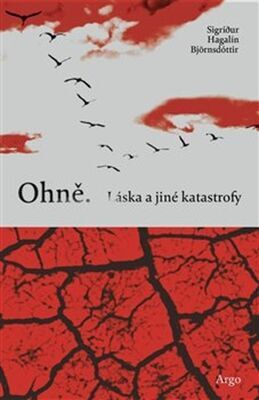 Ohně. Láska a jiné katastrofy - Sigríđur Hagalín Björnsdóttir