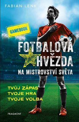 Fotbalová hvězda na mistrovství světa - Tvůj zápas Tvoje hra Tvoje volba - Fabian Lenk