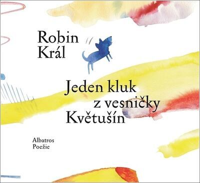 Jeden kluk z vesničky Květušín - Robin Král