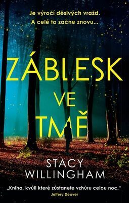 Záblesk ve tmě - Je výročí děsivých vražd. A celé to začne znovu ... - Stacy Willingham