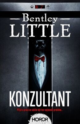 Konzultant - Bentley Little