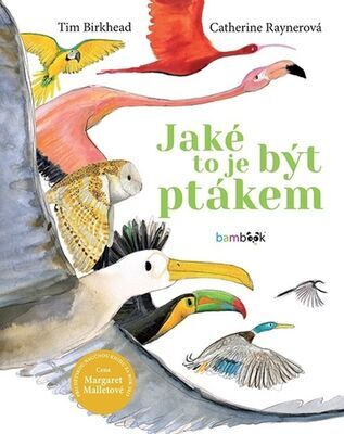 Jaké to je být ptákem - Tim Birkhead; Catherine Rayner