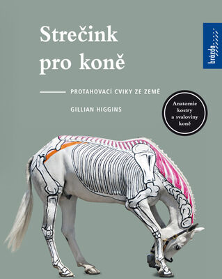 Strečink pro koně - Protahovací cviky ze země - Gillian Higginsová