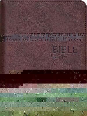 Bible - Český ekumenický překlad