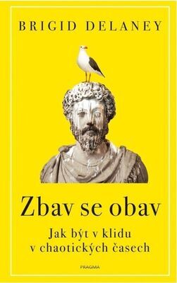 Zbav se obav - Jak být v klidu v chaotických časech - Brigid Delaney