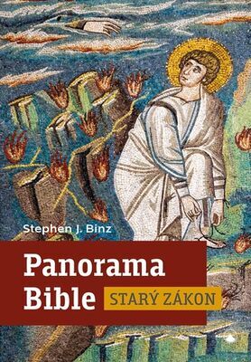 Panorama Bible Starý zákon - Stephen J. Binz