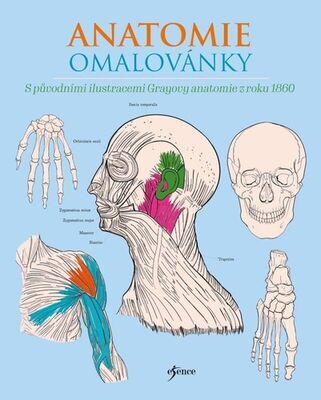 Anatomie omalovánky - Henry Gray; Henry Carter