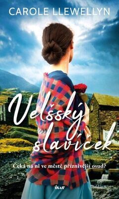 Velšský slavíček - Carole Llewellyn