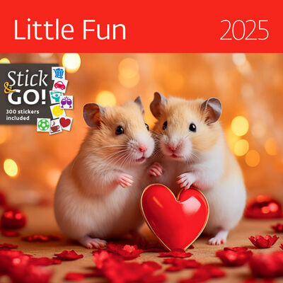 Little Fun 2025 - nástěnný kalendář