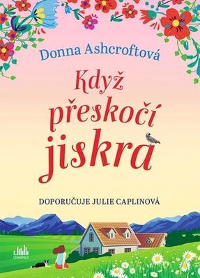 Když přeskočí jiskra - Donna Ashcroftová